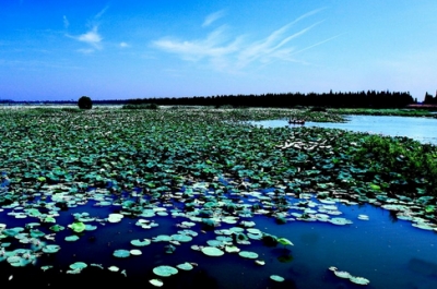 分别是沉湖,洪湖和大九湖,居中部第一;国家湿地公园63个,居全