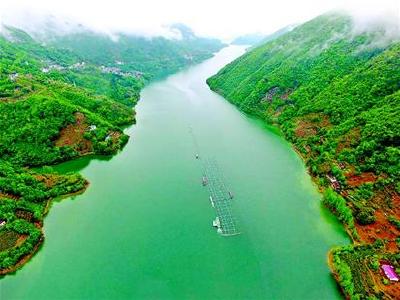 湖北首次立法保护清江流域 畜禽养殖乱排放最高罚5万元