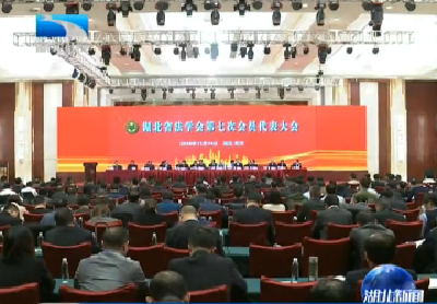 V视 | 王祥喜希望全省法学法律工作者为湖北高质量发展提供有力法治支撑