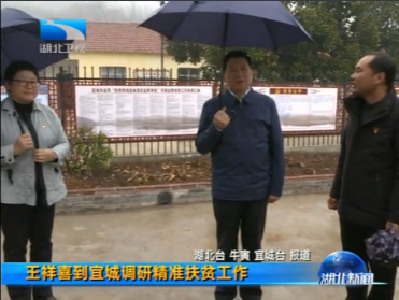 V视 | 王祥喜到宜城调研精准扶贫工作