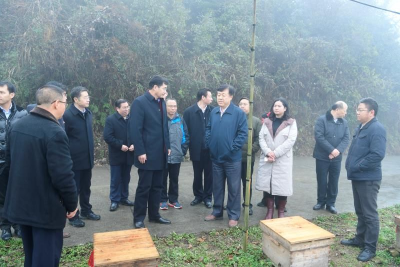 农业农村部副部长于康震一行到来凤调研定点扶贫