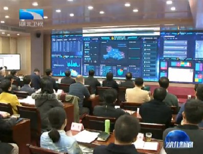 V视 | 王祥喜强调 坚持高标准严管理 加快推进全省政法工作智能化建设