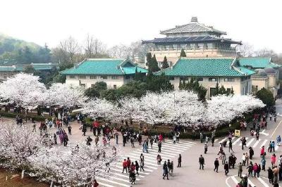 赏花季武汉单日吸引超30万人次！武汉离“赏花第一城”有多远？