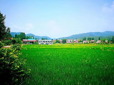 【小丽侃三农】《湖北农业高质量发展调查》系列报道之​中篇《从“吃得饱”向“吃得好”转变》