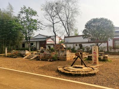 【小丽侃三农】《湖北农业高质量发展调查》系列报道之下篇《从“一招鲜”向“组合拳”转变》