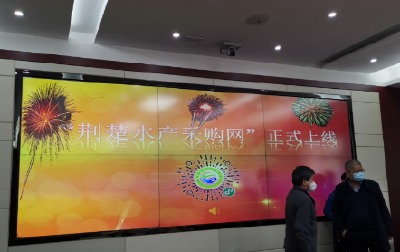 千湖之省开启“云上卖鱼”模式，打通疫情之下的湖北水产品产销堵点