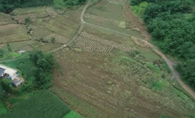 抗灾自救 守护家园 | 恩施巴东：农技专家贴心服务 指导村民灾后自救