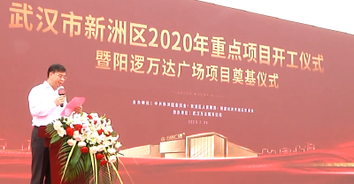 武汉市新洲区2020年重点项目暨阳逻万达广场正式开工