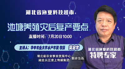 湖北省渔业科技超市专家直播间特邀华中农业大学水产学院樊启学教授