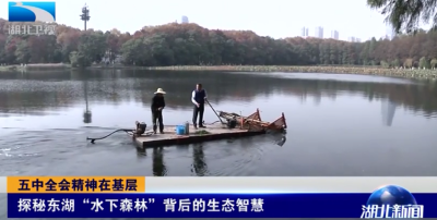 2020年11月22日湖北新闻