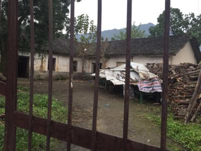 老丁的12年：年逾半年重振茶厂 