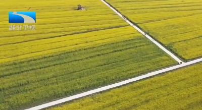 2021年3月8日 湖北新闻