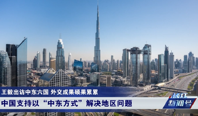 王毅出访中东六国,外交成果硕果累累