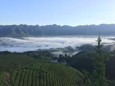 地方动态｜为企纾困：鹤峰县市场监管局推出顾问式登记注册服务