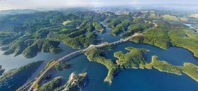 地方动态｜聚焦4个方面 十堰开展损害营商环境问题专项整治