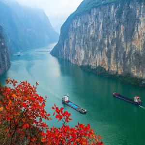 地方动态｜宜昌市发布致全市食品销售经营者和市民的告知书