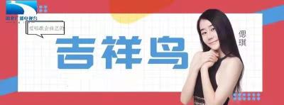 吉祥鸟原创作品推荐•歌曲《担当》