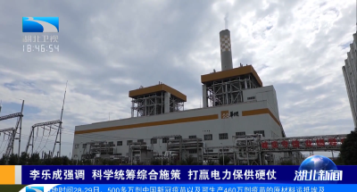 李乐成强调 科学统筹综合施策 打赢电力保供硬仗