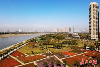 赤橙黄绿青蓝紫,初冬江城披彩衣