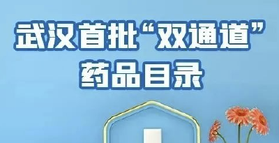 參保人員僅支付個人負擔的費用 雙通道藥品定點醫保武漢市