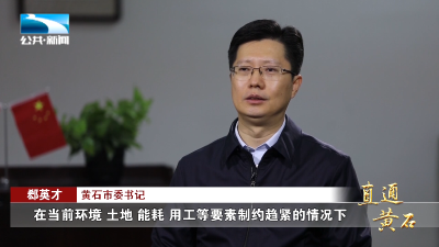 直通黄石 | 聚焦科技创新 推动科技强市建设成势见效