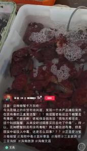 重要提醒！这种螃蟹，别买！