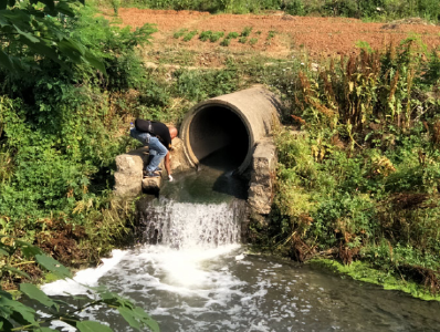 两部门：全面排查整治入河入海排污口