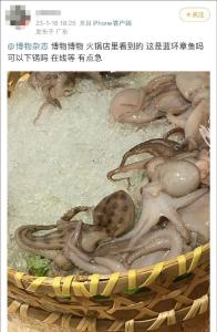 千万别吃，可致命！