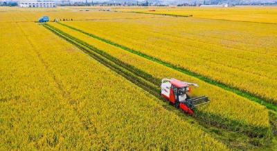 确保全年粮食和农业生产开好头、起好步