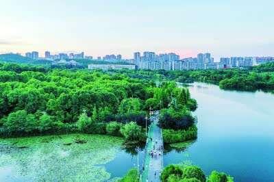2022年度湖北省森林城市名单出炉！