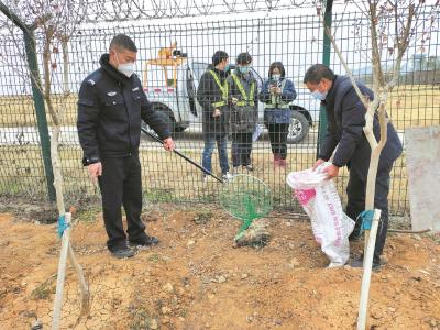 “萌宠”出没后被铁丝网套住受伤  警民携手联合救助狗獾