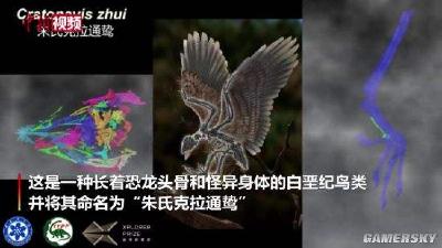 我国科学家发现朱氏克拉通鸷！