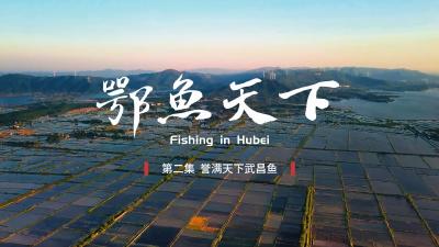 鄂鱼天下——誉满天下武昌鱼
