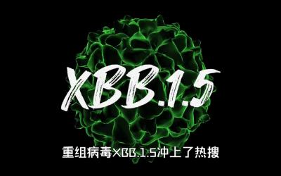 “XBB.1.5”冲上热搜第一，怎么回事？新冠病毒“突然消失”了？
