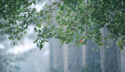 中央气象台：冷空气来袭 华北东北将现雨雪天气