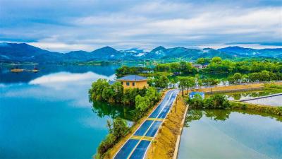 湖北省今年1.58亿元奖励“四好农村路”示范创建