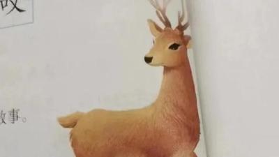 四年级小学生给语文课本“挑错”，新教材改了！