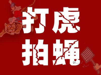 中国证监会会计部原主任王宗成被“双开”