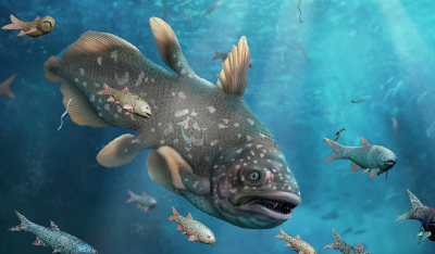 贵阳生物群，现世！