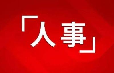湖北多地最新人事任免，涉武汉、宜昌、十堰多地