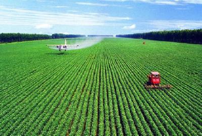 正在公示！湖北17个项目拟推荐获得神农中华农业科技奖