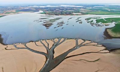 中国第一大淡水湖鄱阳湖又枯了