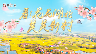 好一个花花湖北，好一个美美新村！