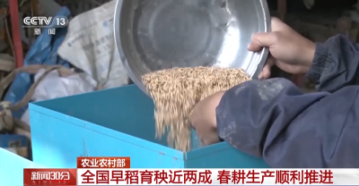 全国早稻育秧近两成 春耕生产顺利推进