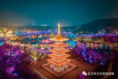 东湖樱花园开放4成，可以玩到晚上10点！