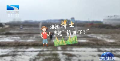 我的新时代 | 潘新星：海归博士当起“稻田CEO”