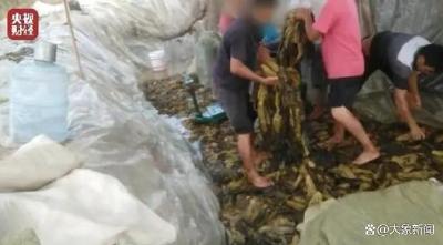 那些曾被“315”点过名的品牌怎么样了？