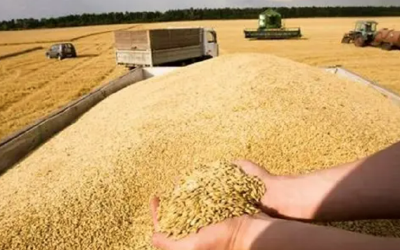 1.3万亿斤粮食产量能稳住吗