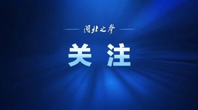 担心孩子不长个？官方“长个”食谱来啦