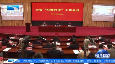 全省“扫黄打非”工作会议举行